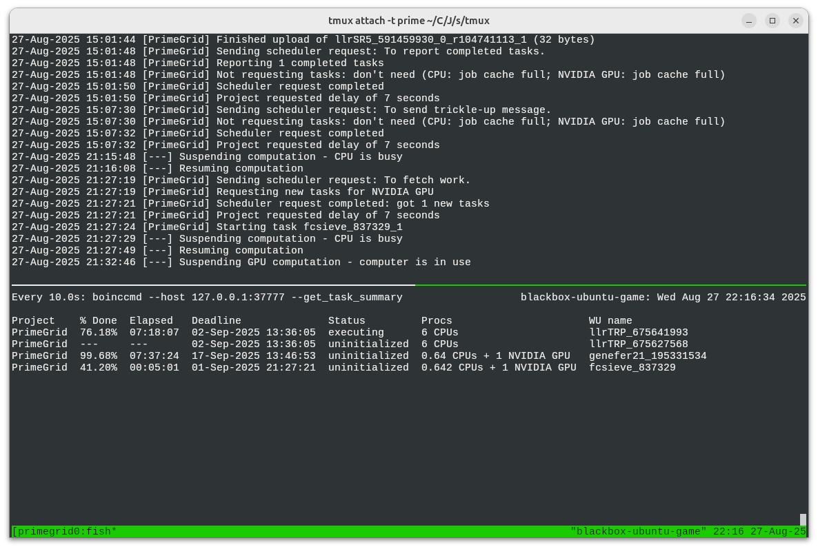 A terminal showing a scheduling table of PrimeGrid jobs.